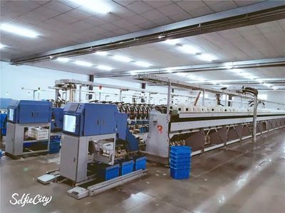 長(zhǎng)葛這企業(yè)復(fù)工首日:機(jī)器火力全開(kāi)!8噸棉紗運(yùn)往江蘇&hellip;