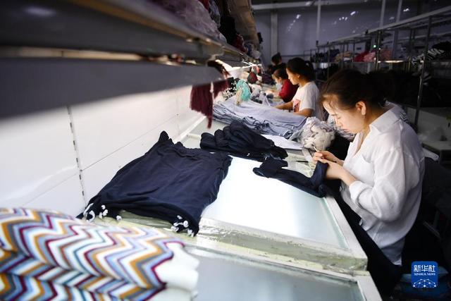 寧夏靈武:羊絨產業提質增效