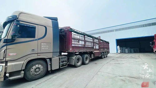 秀出科技范 谷城這些企業跑出創新 加速度