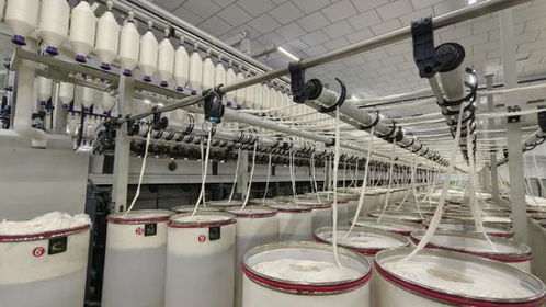 巴楚縣紡織產業推動棉花全產業鏈高質量發展