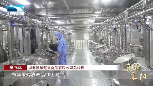 湖北省老河口市 四大農業產業鏈 助力農業高質量發展