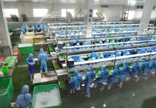 乘風破浪 陽江漁業(yè)產業(yè)駛向高質量發(fā)展新航程