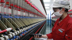 棉紡企業(yè)帶動(dòng)種植戶產(chǎn)業(yè)化經(jīng)營(yíng)