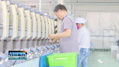 下馬關(guān)鎮(zhèn)三山井村扶貧車(chē)間開(kāi)業(yè)了