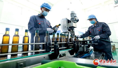 高臺 做強農(nóng)產(chǎn)品精深加工產(chǎn)業(yè) 鏈